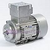 RAEL Explosion Proof Electric Motor RAEL Explosion Proof Electric Motor